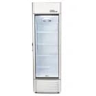 12.5 CuFt Commercial Display Silver