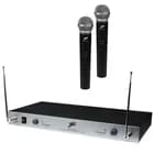 Wireless Dual Microphone System