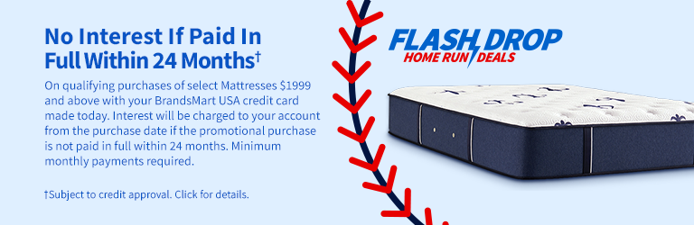 No interest if paid in full within 24 Months