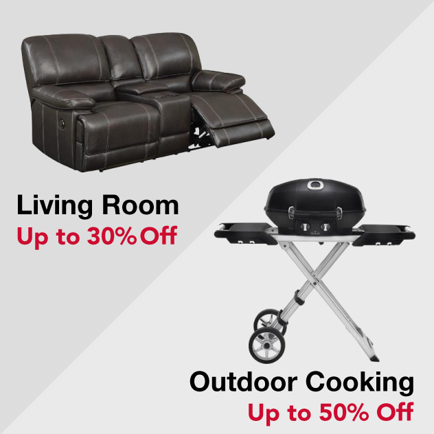 Living Room Furniture and Grills
